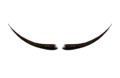 Thumbnail for version as of 20:36, 8 April 2025
