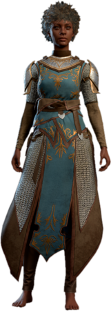 Chain Mail +1 Human Front