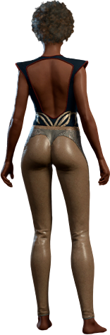 Anarchic Blue Outfit Human Back