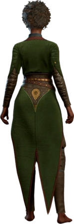 Leather Armour Jaheira Human Back