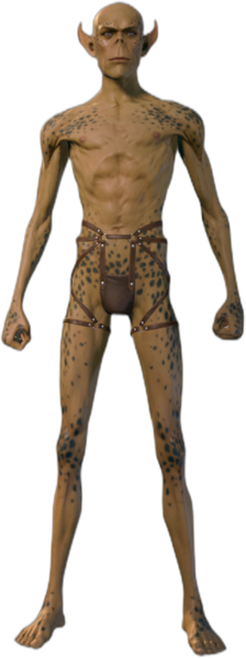 Underwear Githyanki Front