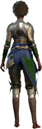 Plate Armour Human Back