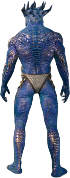 Bronze Underwear Dragonborn Back