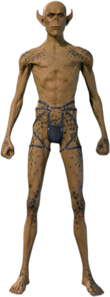 Black Underwear Githyanki Front