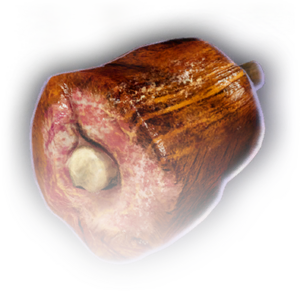 Roasted Dwarf Leg image