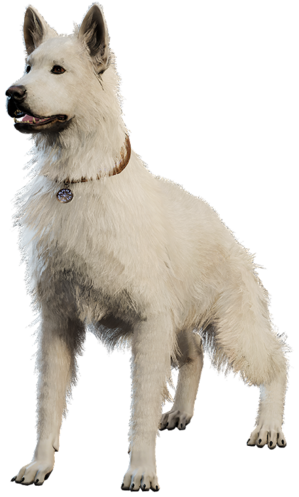 A <b>dog</b> is a type of <!--LINK'" 0:0--> in Baldur's Gate 3.