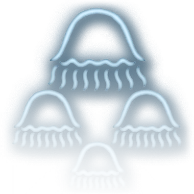 File:Cloud of Jellyfish.webp