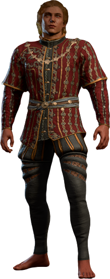 Fastidiously Perfect Outfit High Elf Front