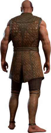 Leather Armour Minsc Back