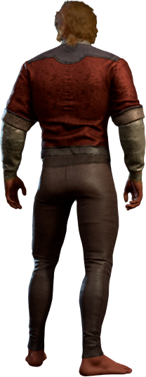 Solemnity Outfit High Elf Back
