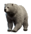 Thumbnail for version as of 10:29, 19 February 2025