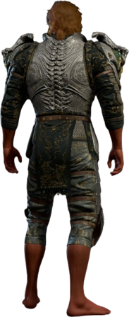 Reaper's Embrace High Elf Back