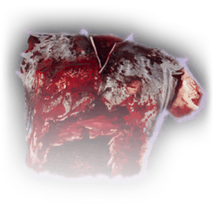 Severed Torso image