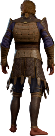 Studded Leather Armour +2 High Elf Back