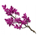 Thumbnail for version as of 20:36, 8 April 2025