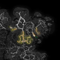 Thumbnail for version as of 02:57, 15 August 2023