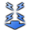 Static Discharge: Electroshock (Condition)