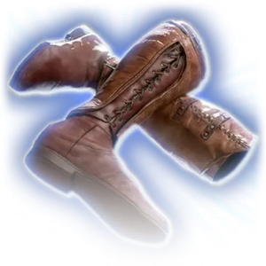 Briskwind Boots image