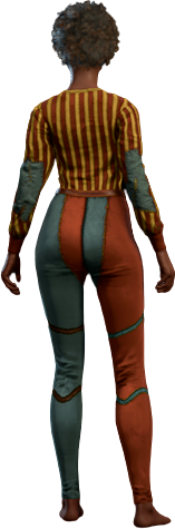 Mesmerising Circus Outfit Human Back