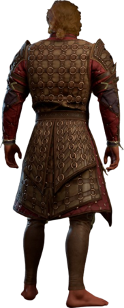 Ring Mail Armour +2 High Elf Back