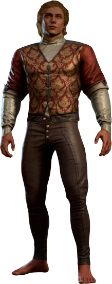 Solemnity Outfit High Elf Front
