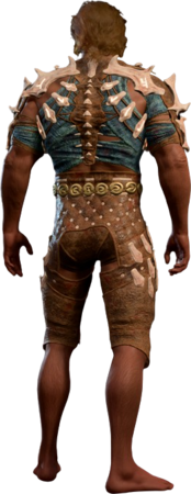Bonespike Garb Half-Elf Back