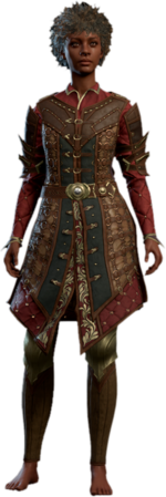 Ring Mail Armour +1 Human Front