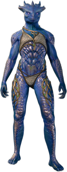Bronze Underwear Dragonborn Front