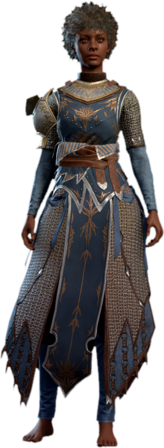 Chain Mail +2 Human Front