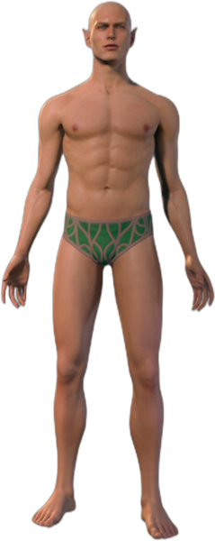 Underwear Elf Front