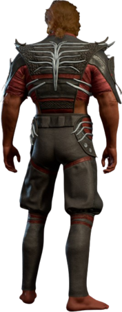 The Graceful Cloth Half-Elf Back