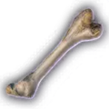 Thumbnail for version as of 10:10, 12 April 2024