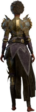 Blackguard's Plate Human Back