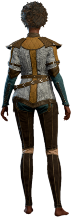 Chain Shirt +1 Human Back
