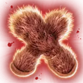 Thumbnail for version as of 09:08, 12 March 2024
