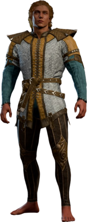 Chain Shirt +1 High Elf Front
