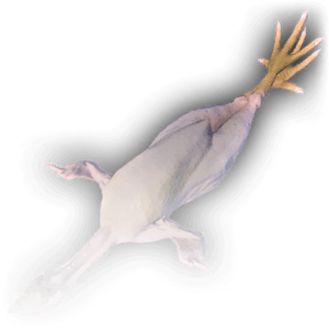 Whole Chicken image