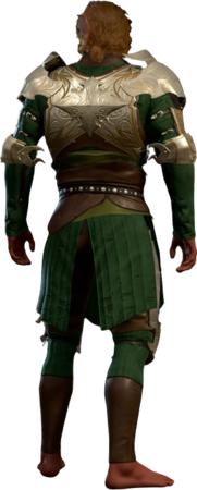Half Plate Armour +2 High Elf Back