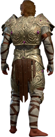 Githyanki Half Plate B High Elf Back