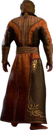 Obsidian Laced Robe Half-Elf Back