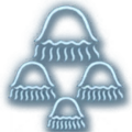 Thumbnail for version as of 19:28, 31 January 2025