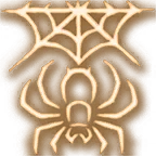 Web Spider Icon.webp