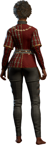 Fastidiously Perfect Outfit Human Back