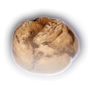 Sunflower Seed Bun image