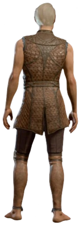 Leather Armour Minsc Half-Elf Back