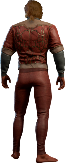 Raffish Bronze-Red Outfit High Elf Back