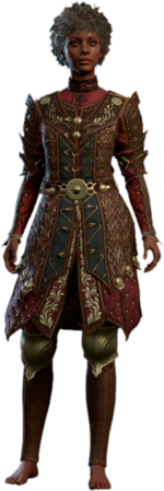 Ring Mail Armour +2 Human Front