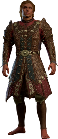 Ring Mail Armour +2 High Elf Front