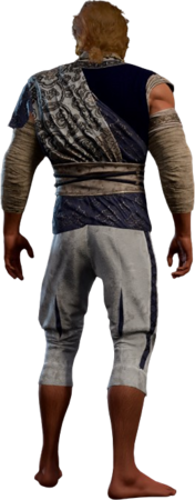 Drunken Cloth Half-Elf Back