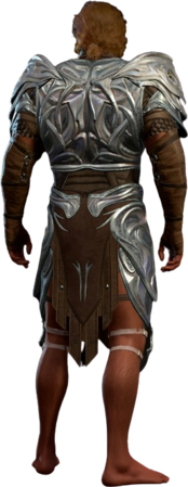 Githyanki Half Plate Leather High Elf Back